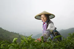 多彩贵州·第十四届中国原生态国际摄影大展 · 七星漂 的图集