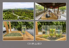 多彩贵州·第十四届中国原生态国际摄影大展 · 淼 的图集