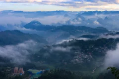 2025多彩贵州·第十八届中国原生态国际摄影大展 · 沙漠狼 的图集