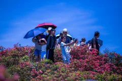 多彩贵州·第十四届中国原生态国际摄影大展 · 啊伟 的图集