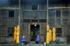 多彩贵州·第十四届中国原生态国际摄影大展 · 冯成发 的图集