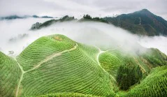 多彩贵州·第十四届中国原生态国际摄影大展 · 山涧泉水 的图集