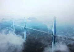 2023多彩贵州·第十六届中国原生态国际摄影大展 · 巴西铁 的图集