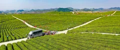 多彩贵州·第十四届中国原生态国际摄影大展 · 难懂的光影 的图集