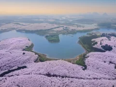 第十五届多彩贵州·中国原生态国际摄影大展·”空中瞰贵州”主题征稿 · 牧渔 的图集