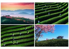 多彩贵州·第十四届中国原生态国际摄影大展 · 阳阳(苏朝阳) 的图集