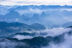 2025多彩贵州·第十八届中国原生态国际摄影大展 · 沙漠狼 的图集