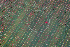 第十五届多彩贵州·中国原生态国际摄影大展·”空中瞰贵州”主题征稿 · 大庄的汉子 的图集