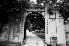 2025多彩贵州·第十八届中国原生态国际摄影大展 · 朱进 的图集