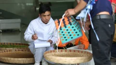 多彩贵州·第十四届中国原生态国际摄影大展 · 流浪枫叶 的图集