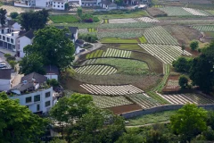 2025多彩贵州·第十八届中国原生态国际摄影大展 · 朱润彤 的图集