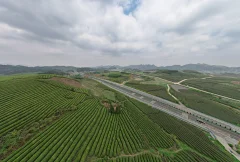 茶海路