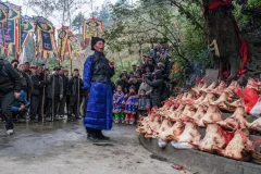 2025多彩贵州·第十八届中国原生态国际摄影大展 · 青瓷 的图集