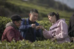 多彩贵州·第十四届中国原生态国际摄影大展 · 梦回唐朝 的图集