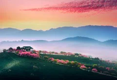 多彩贵州·第十四届中国原生态国际摄影大展 · 阳阳(苏朝阳) 的图集