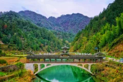 2023多彩贵州·第十六届中国原生态国际摄影大展 · 巴西铁 的图集