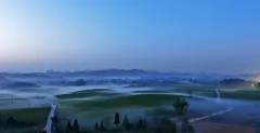 《茶海圣境》