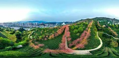 多彩贵州·第十四届中国原生态国际摄影大展 · 周访华 的图集
