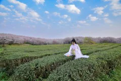 多彩贵州·第十四届中国原生态国际摄影大展 · 刘乐哥 的图集