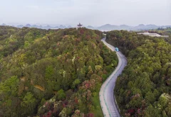 2025多彩贵州·第十八届中国原生态国际摄影大展 · 不鸣 的图集