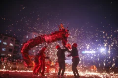 2025多彩贵州·第十八届中国原生态国际摄影大展 · 沙漠狼 的图集