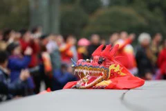 多彩贵州·第十四届中国原生态国际摄影大展 · 挺拳而立 的图集