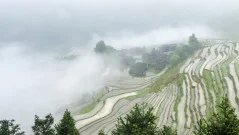 多彩贵州·第十四届中国原生态国际摄影大展 · 叶子烟 的图集