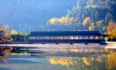 2023多彩贵州·第十六届中国原生态国际摄影大展 · 张从文 的图集