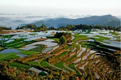 高坡梯田之晨