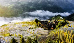 第十五届多彩贵州·中国原生态国际摄影大展·”空中瞰贵州”主题征稿 · 吉雨日 的图集