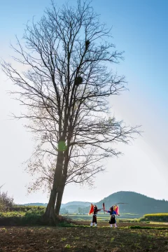 2025多彩贵州·第十八届中国原生态国际摄影大展 · 平安 的图集