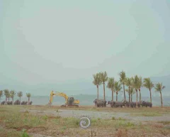 2024多彩贵州·第十七届中国原生态国际摄影大展展览 · 摄影大展官方客服 的图集