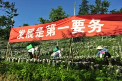 多彩贵州·第十四届中国原生态国际摄影大展 · 这方玩石 的图集