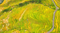 第十五届多彩贵州·中国原生态国际摄影大展·”空中瞰贵州”主题征稿 · 寻觅乡愁 的图集