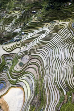 多彩贵州·第十四届中国原生态国际摄影大展 · 彭泽良 的图集