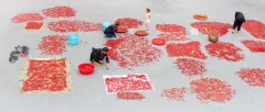 多彩贵州·第十四届中国原生态国际摄影大展 · 陈丽惠 的图集