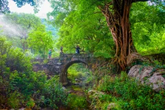 2023多彩贵州·第十六届中国原生态国际摄影大展 · 张从文 的图集