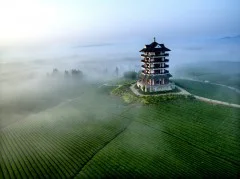 多彩贵州·第十四届中国原生态国际摄影大展 · 周访华 的图集