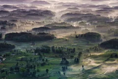 多彩贵州·第十四届中国原生态国际摄影大展 · 高山一棵松 的图集