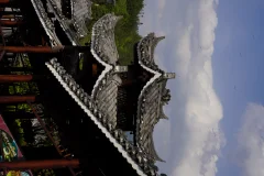 2025多彩贵州·第十八届中国原生态国际摄影大展 · 宜非帆 的图集