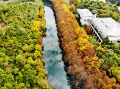 多彩贵州·第十四届中国原生态国际摄影大展 · 风雨断肠人 的图集