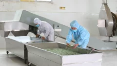 多彩贵州·第十四届中国原生态国际摄影大展 · 流浪枫叶 的图集