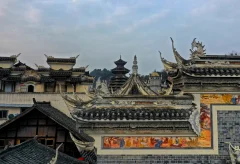 2025多彩贵州·第十八届中国原生态国际摄影大展 · 巴西铁 的图集