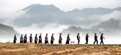 《田坎上的苗家人》