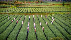多彩贵州·第十四届中国原生态国际摄影大展 · 无影客 的图集