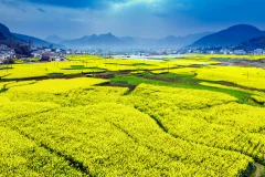 第十五届多彩贵州·中国原生态国际摄影大展·”空中瞰贵州”主题征稿 · 光影之旅 的图集