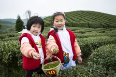 多彩贵州·第十四届中国原生态国际摄影大展 · 张燕 的图集