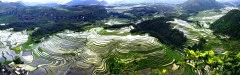多彩贵州·第十四届中国原生态国际摄影大展 · 王建设 的图集