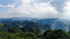 多彩贵州·第十四届中国原生态国际摄影大展 · 流浪枫叶 的图集