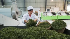 多彩贵州·第十四届中国原生态国际摄影大展 · 乌江摄影 的图集